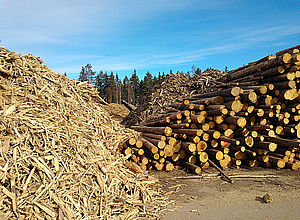 Stacks of wood waste and wood and a forest in the background | BSR Stars S3 - a project of Interreg Baltic Sea Region (photo: Puuterminaalikuva)