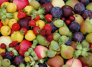different fruits in one place | InnoFruit - a project of Interreg Baltic Sea Region (photo Edgars Rubauskis)