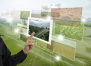 Photos of plants on a glass wall with a person's hand pointing at one of them | RDI2CluB - a project of Interreg Baltic Sea Region (photo: iStock/Ekkasit919)