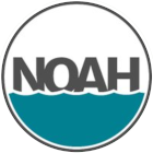 Noah 140x