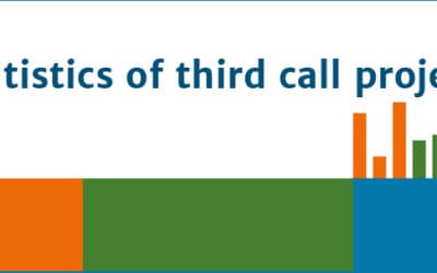 Third call projects: key facts