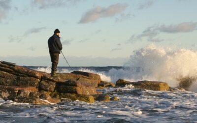 Sport fishing in the Baltic Sea for economic growth and river restoration