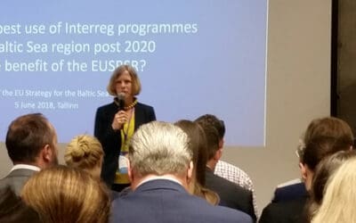Needs towards Interreg after2020 mapped out