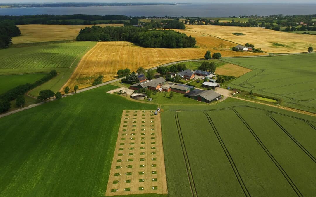 Sustainable manure and nutrient management for reduction of nutrient loss in the Baltic Sea Region