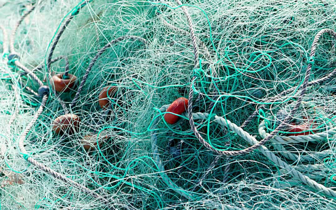 MARELITT Baltic – Reducing the impact of marine litter in the form of Derelict Fishing Gear (DFG) on the Baltic Sea environment