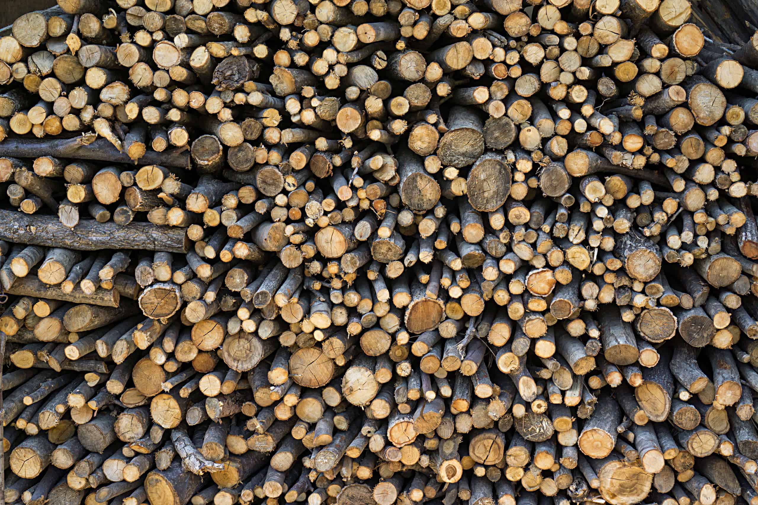 Accelerating production of forest bioenergy in the Baltic Sea Region