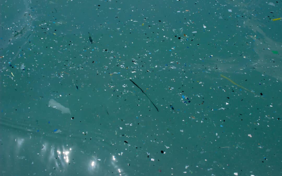 FanpLESStic-sea – Initiatiatives to remove microplastics before they enter the sea