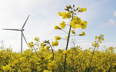 Conflict resolution in spatial planning enables wind farm development in europe