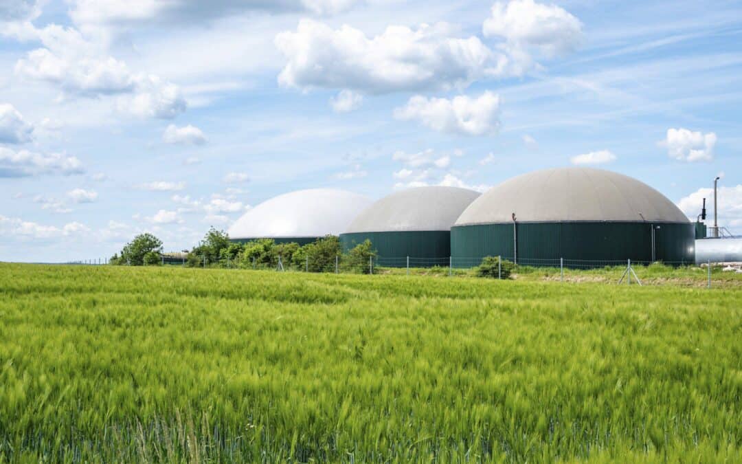 Biogas – Established Sustainable Technology in A Circular Economy