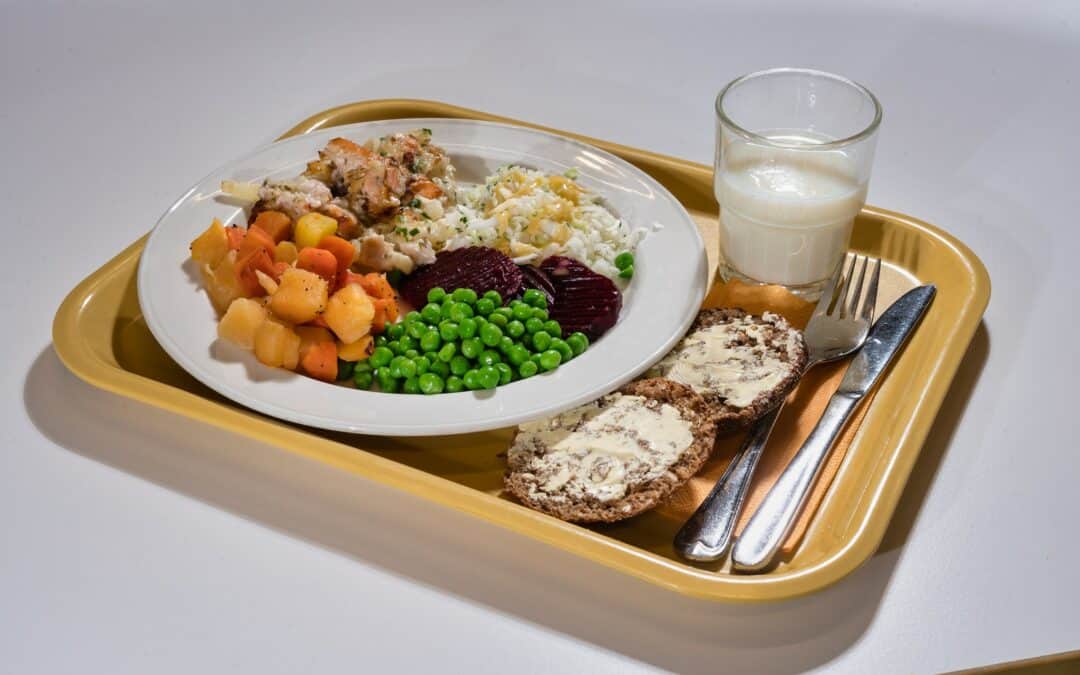 StratKIT+ joins a BSR forum on school food