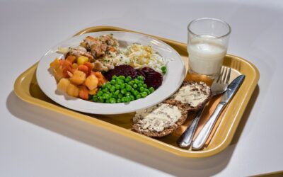 StratKIT+ joins a BSR forum on school food