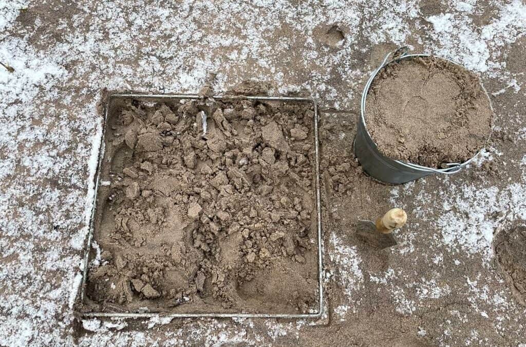 Testing of methods for sampling microplastics from sand on the beach and water surface in Latvia
