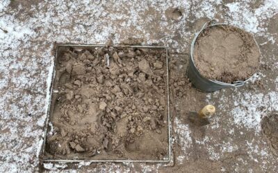 Testing of methods for sampling microplastics from sand on the beach and water surface in Latvia