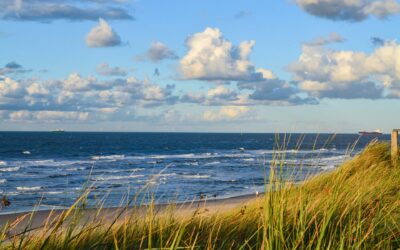NURSECOAST II seeking alternative wastewater treatment solutions