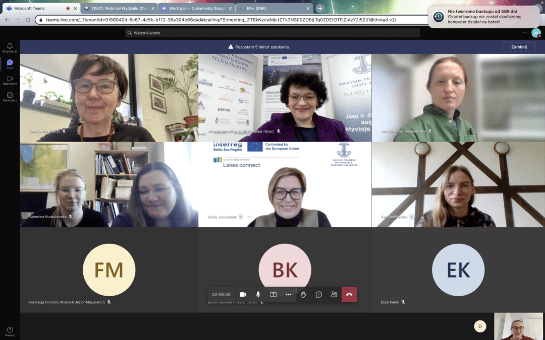 Second online meeting of partners