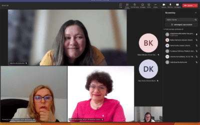 Next online partners’ project meeting