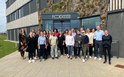 Service design workshop organised in Vejle (Denmark) to take next steps towards the KISMET solution