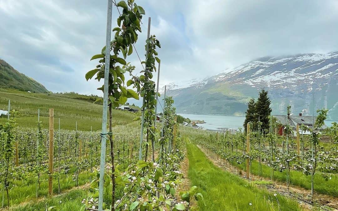 Inspiring partner meeting in Norwegian Hardangerfjord
