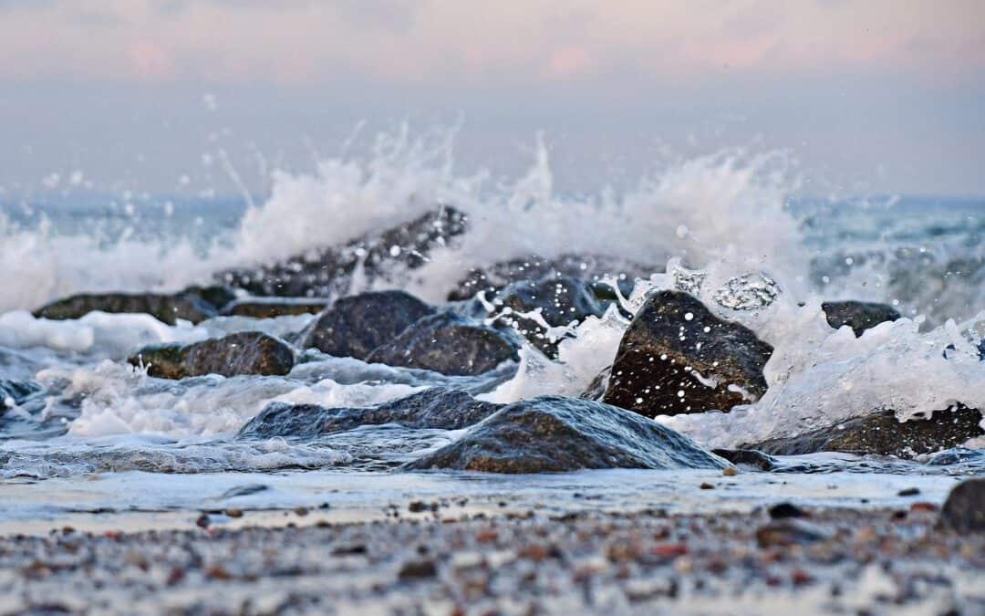 PRESS RELEASE: A new international project tackles wastewater issues around the Baltic Sea