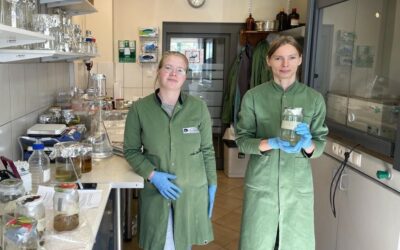We are testing samples collected during the pilot studies