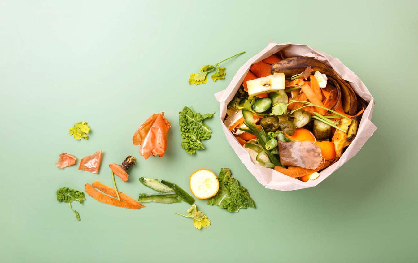 Sorted kitchen waste in paper eco bag on green background. Compost-container. Sustainable life style. Vegetable and fruit peels, scraps from food preparation collected in trash-pack for recycling