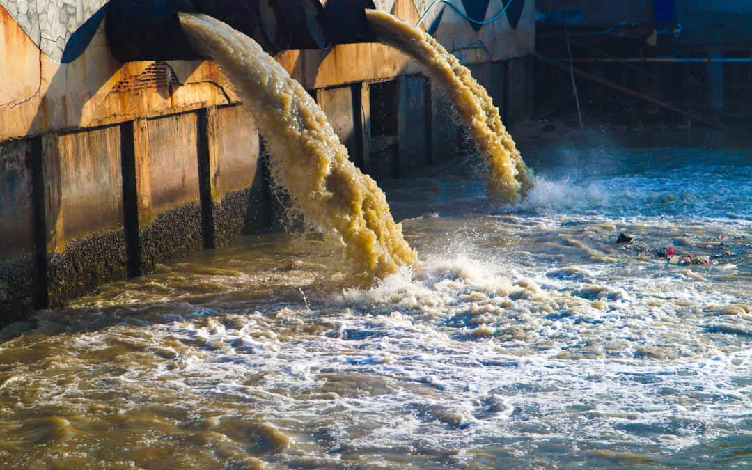 Advanced mobile technology for removing micropollutants from wastewater