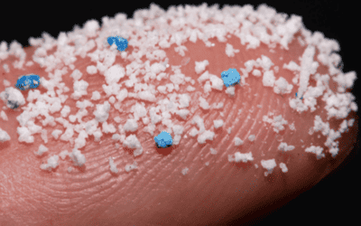 Microplastics – a cause for concern?