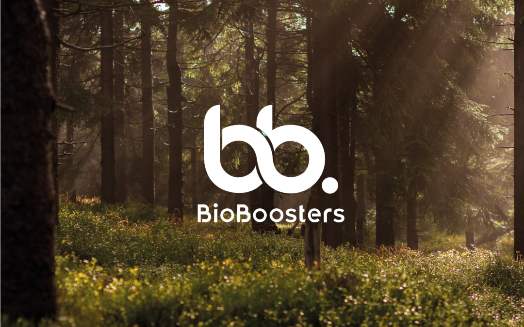 Moelven Wood and Billerud collaborate to develop a new packaging
