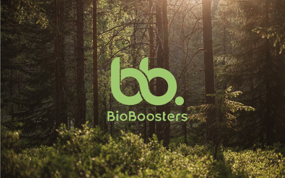 Biocompost AB is the winner of Holmen Hackathon
