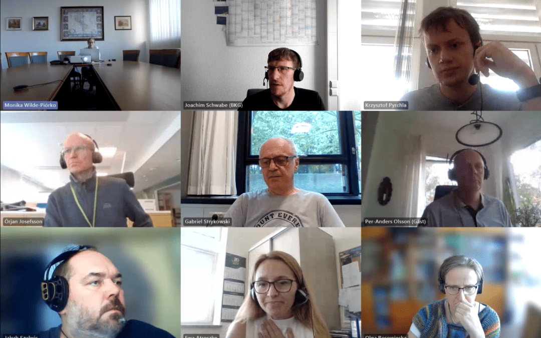 BalMarGrav: 12th on-line meeting
