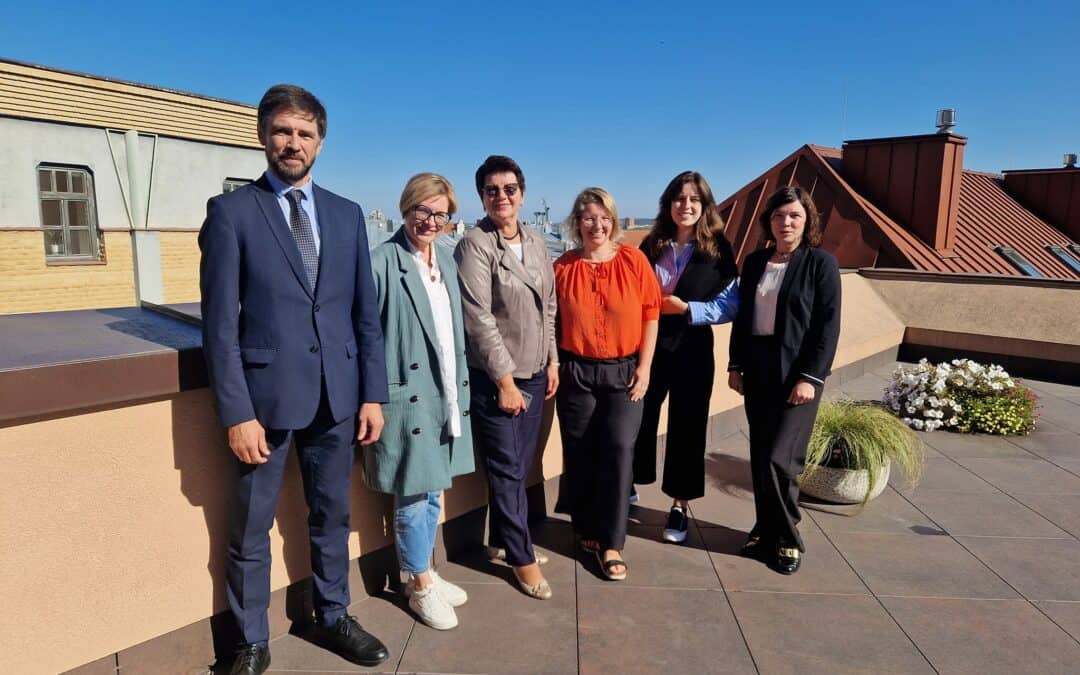 Consultations with stakeholders in Lithuania