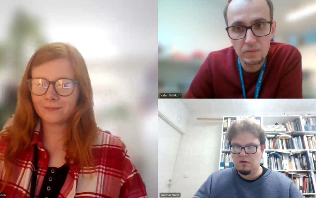 Consultations with stakeholders in Finland