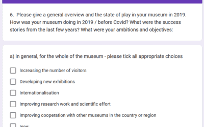 BaMuR questionnaire