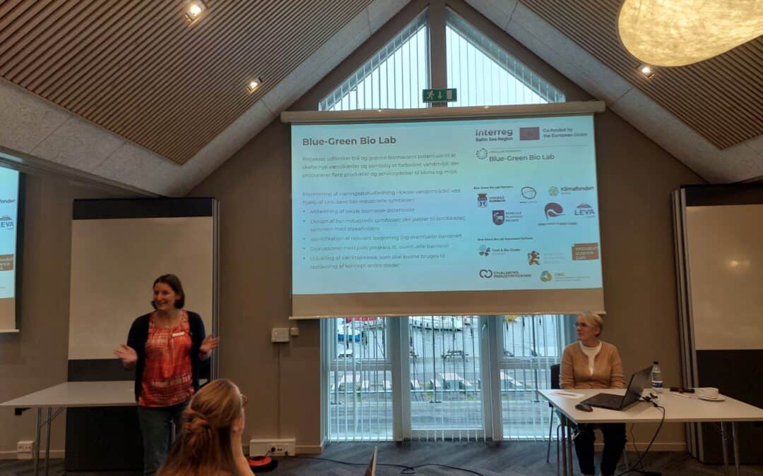 Co-creative workshop held in Skive!