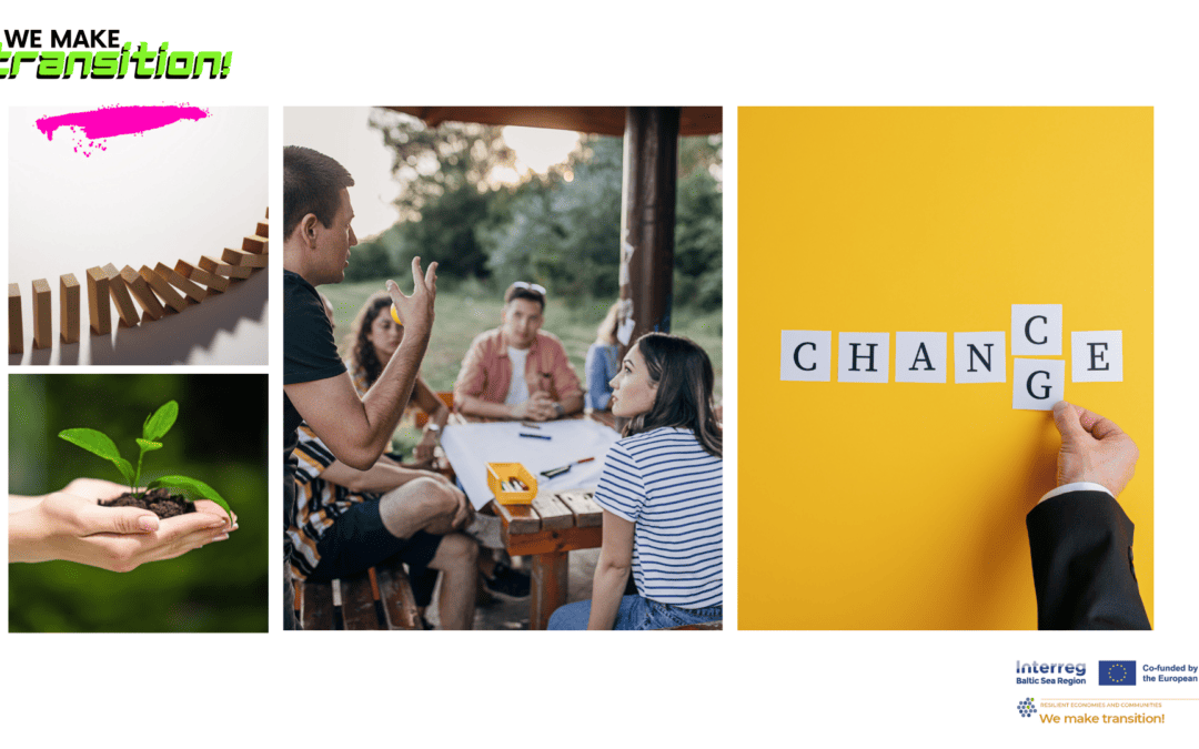 We make transition! recruited 30 change agents from the Baltic Sea region to make a joint sustainability vision and recommendations  for cities and municipalities