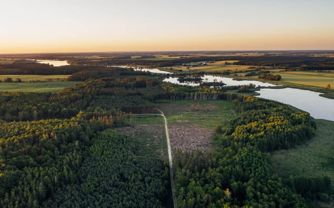 Harnessing Sustainable Energy: The Vision for an Agricultural Biogas Plant in Cieszymowo