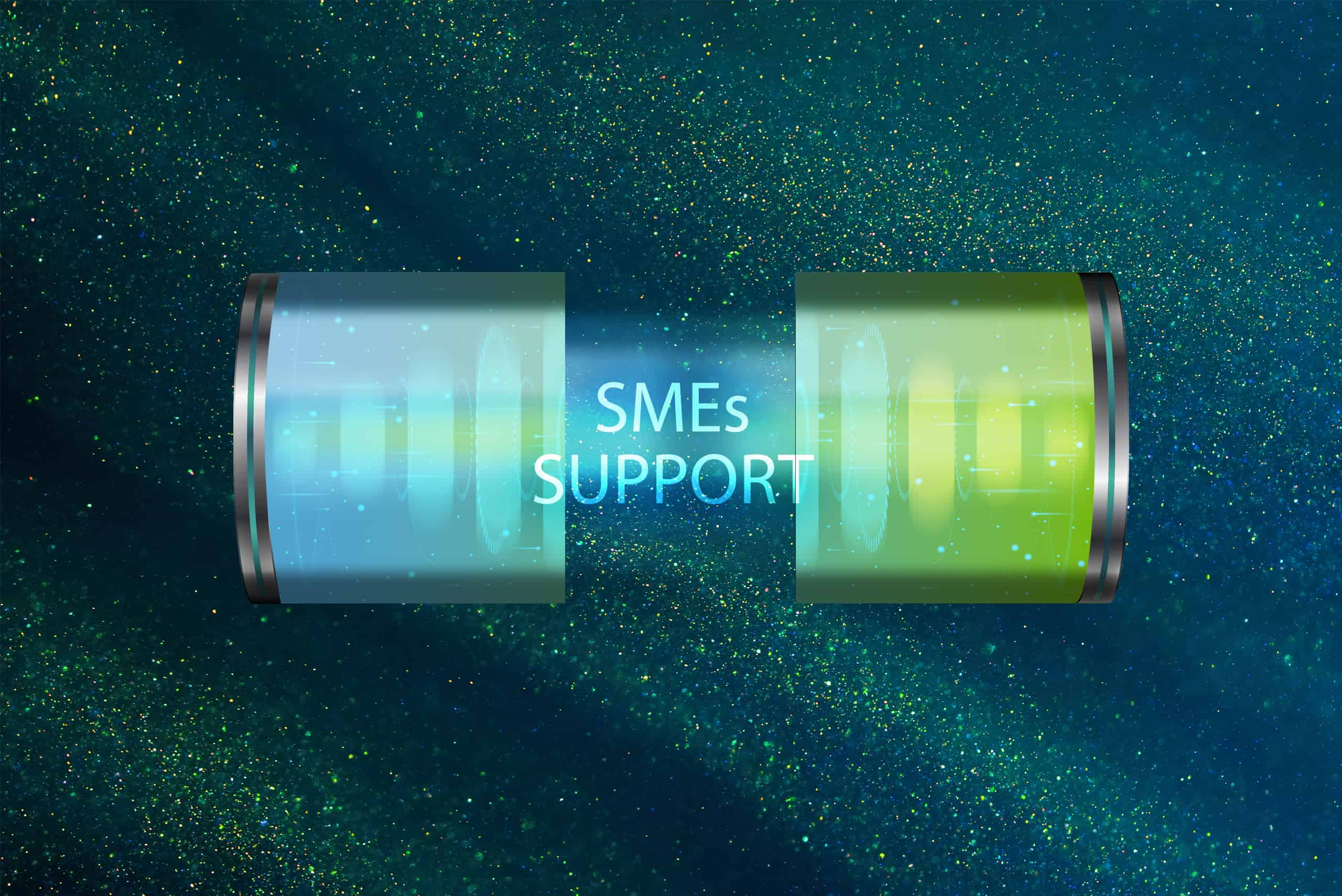 smes support project capsule image