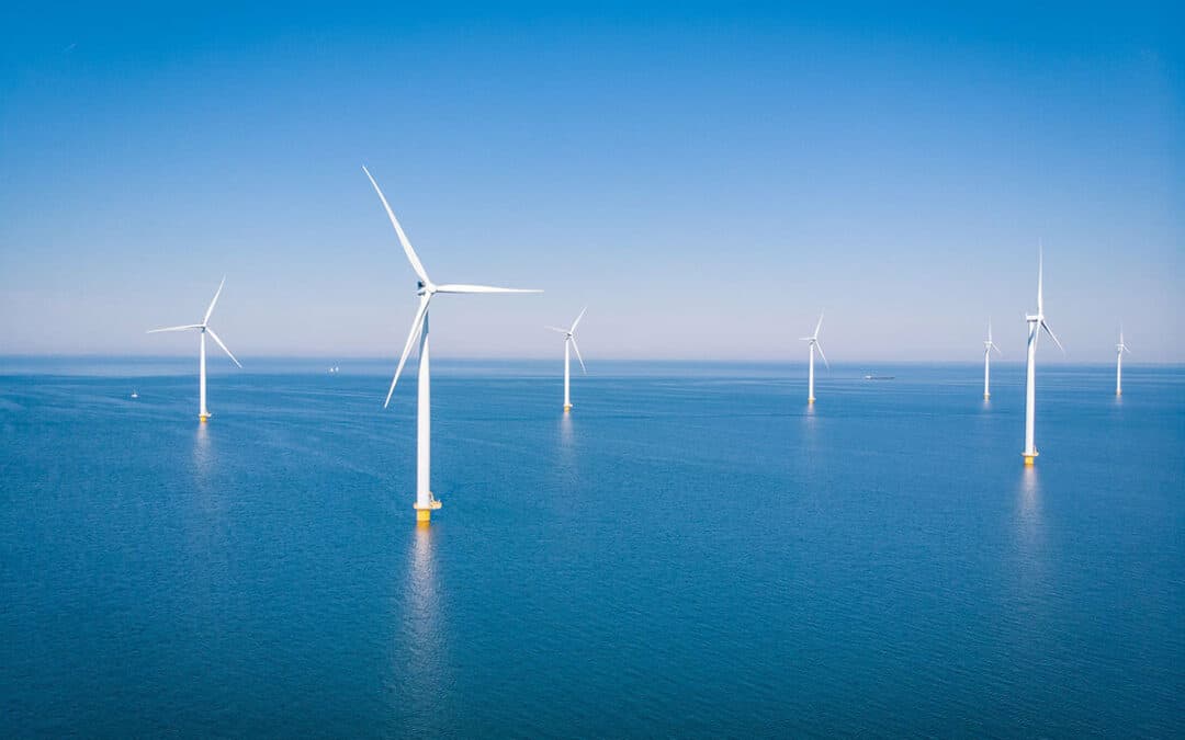 Advancing energy citizenship: Project implementation in Poland