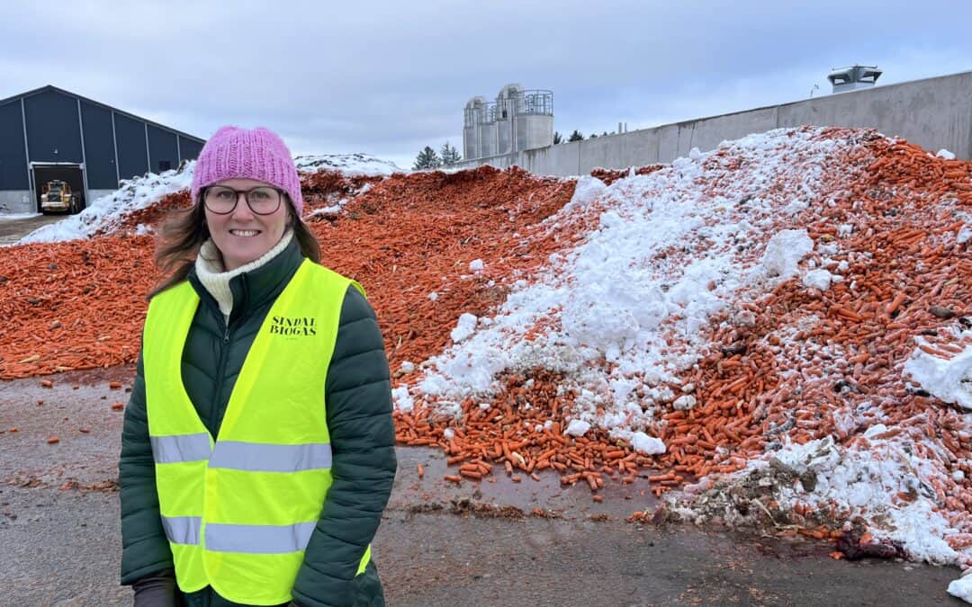 The Danes taking lead in biogas