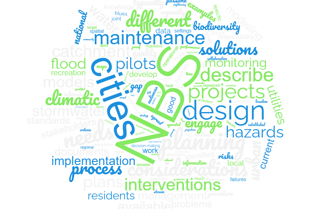 Mapping the current state of planning, design and implementation of nature-based solutions in the Baltic Sea Region launched