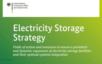 Publication of the German electricity storage strategy
