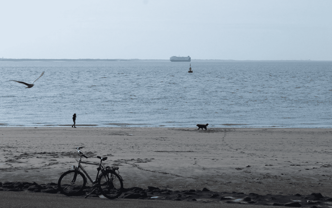 Meet the Sea2Land Navigator — tool designed to assist planners!