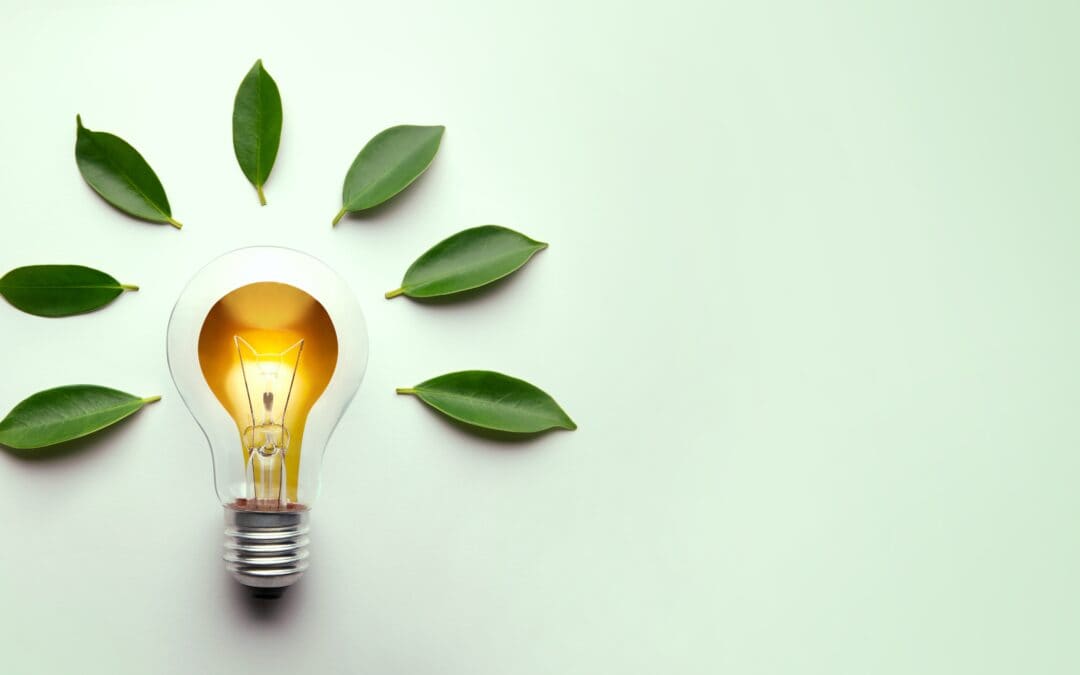 Advancing the Climate Action Decision Support Tool: A Collaborative Journey through Co-Design Workshops