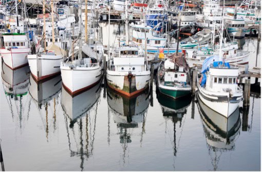 Interview with Cornelia Rosberg at Rosbergs Fisk – a RoundGoby project partner
