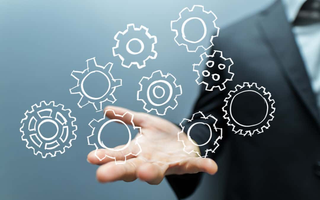 1st Survey Launch: Pre-Incubation Needs of Students and Young Reaserchers