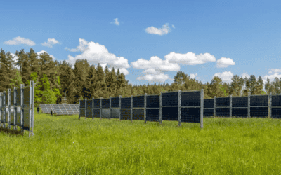 Agrivoltaics are growing in Scania, Sweden – PV4All study visit