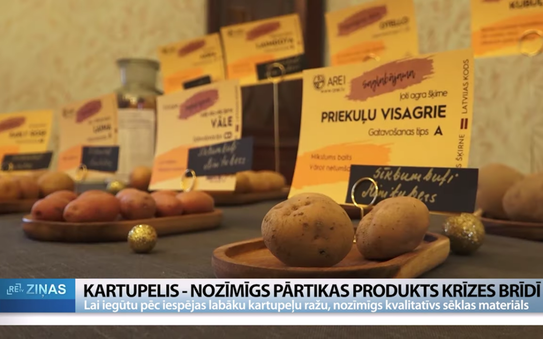 Potatoes: An essential commodity for overcoming unpredictable challenges