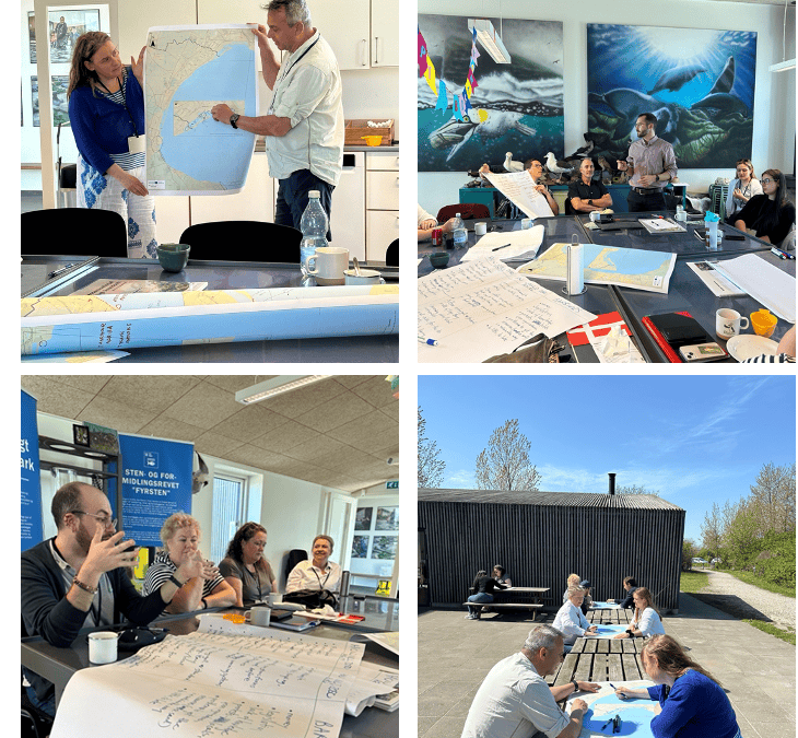 BEACH-SOS meets Køge Bay: Climate-Smart Beaches for Sustainable Coastal Tourism