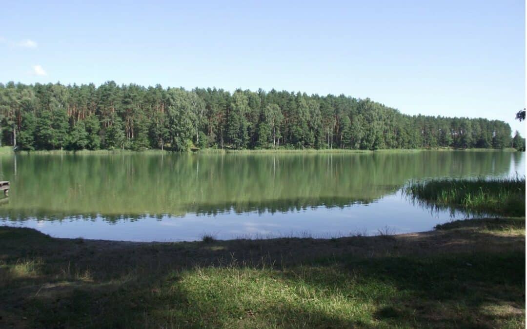 Listen to the interview with Piotr Jachimowicz about the threat of microplastics in lakes