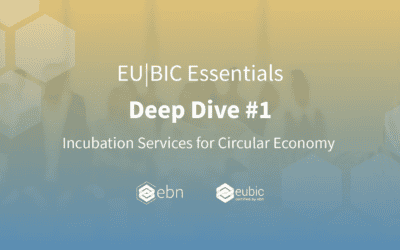 Project results presented at the EU|BIC Essentials Deep Dives I: Incubation Services for Circular Economy